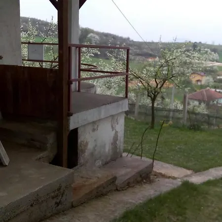 Sunny Hill
