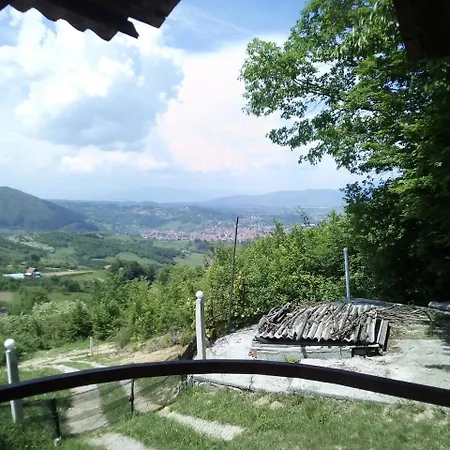 Sunny Hill *